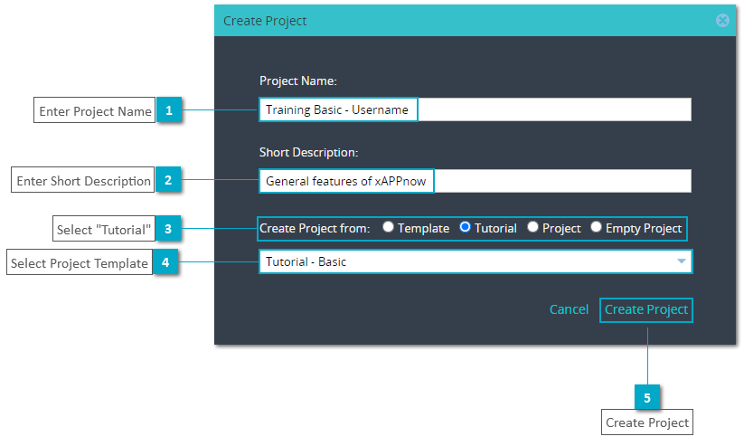 Basic Training - xAPPnow Low Code Platform