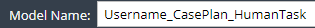 1. Enter Model Name