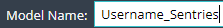 1. Enter Model Name