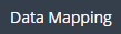1. Open SubTAB "Data Mapping"