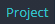 1. Menu "Project"