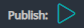 1. Click Publish