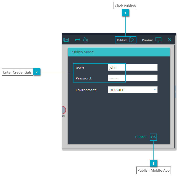 Publish and Execution on User Portal