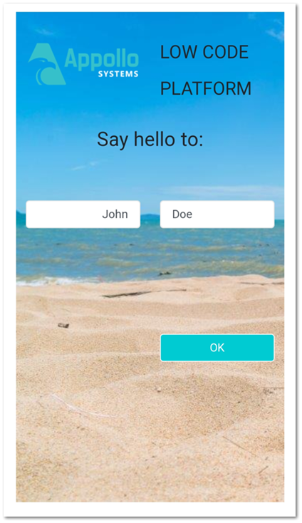 Publish and Execution on User Portal