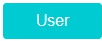 3. Click "User"