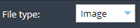 2. Select File Type