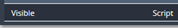 2. Select "Visible" and State "Script"