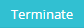 3. Terminate