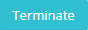 2. Terminate